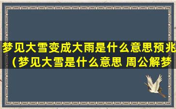 梦见大雪变成大雨是什么意思预兆（梦见大雪是什么意思 周公解梦梦见大雪）